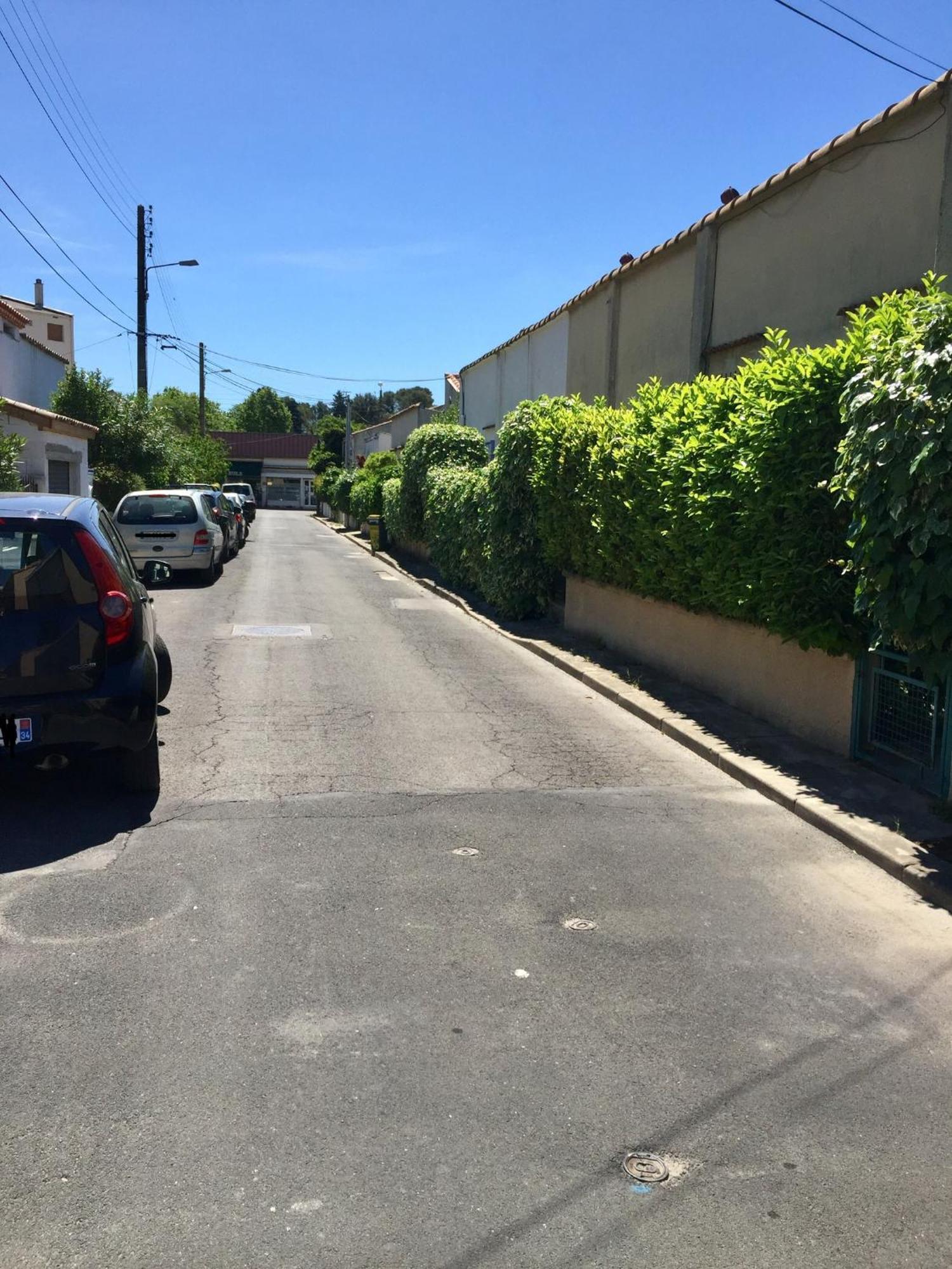 Scandinave Au Calme Avec Jardinet Montpellier